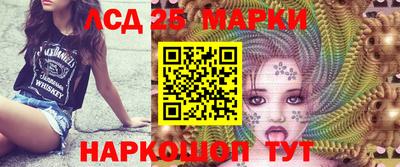 шишки Аргун