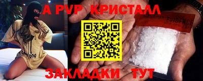 шишки Аргун