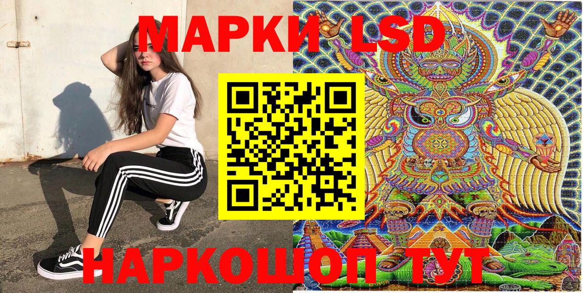 Галлюциногенные грибы Пенза