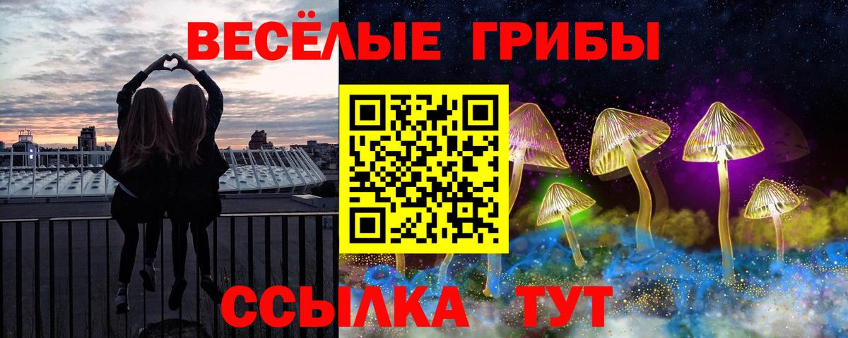 Псилоцибиновые грибы прущие грибы  продажа наркотиков  Пенза  Вход с VPN  Псилоцибиновые грибы Cubensis 